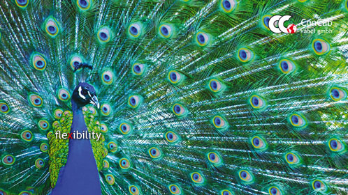 130404 Webseiten Kampagne oT 72 dpi 3