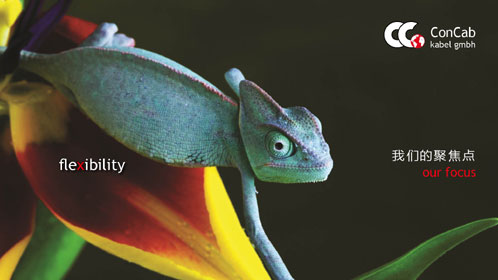 130404 Webseiten Kampagne oT 72 dpi 5