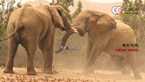 130404 Webseiten Kampagne oT 72 dpi 20