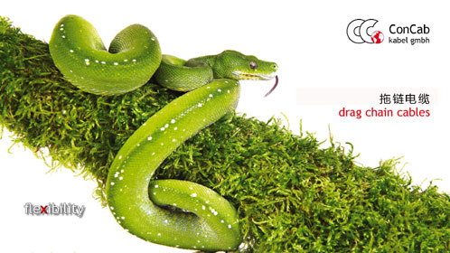 130404 Webseiten Kampagne oT 72 dpi 11