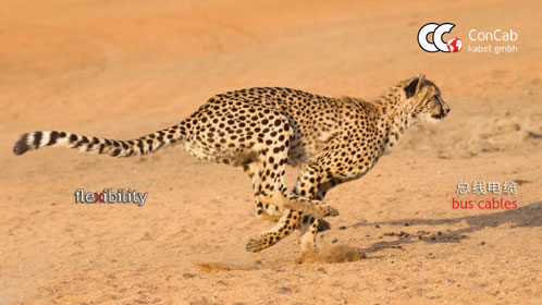 130404 Webseiten Kampagne oT 72 dpi 12