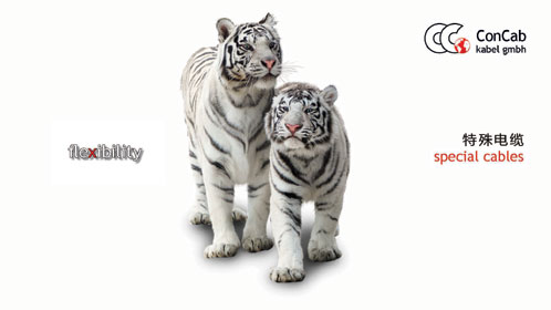 130404 Webseiten Kampagne oT 72 dpi 26